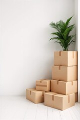Boxes with Plant: Stack of cardboard boxes with a potted plant on top, creating a minimalist and functional display against a wall.