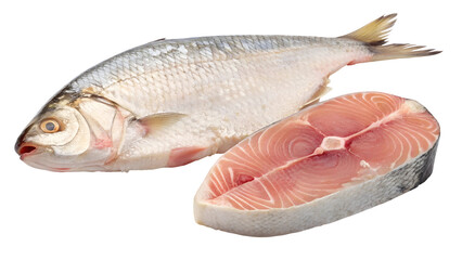 fresh raw fish and one slice piece isolated on transparent background