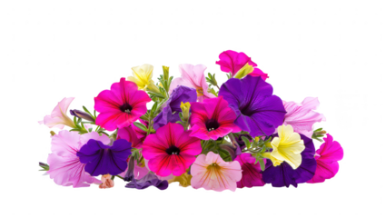 Vibrant Petunia Bouquet