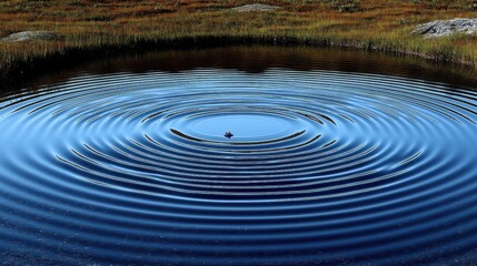 Water Ripples Concentric Circles on Pond Surface in Natural Light Reflection