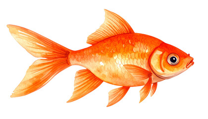 Poisson rouge