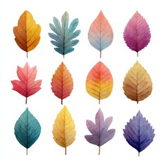 Colorful Watercolor Autumn Leaves Collection