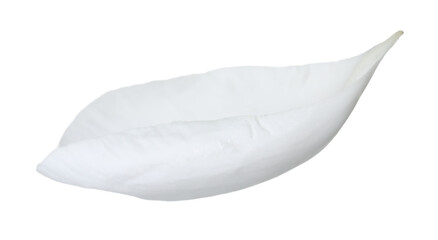 One beautiful peony petal isolated on white