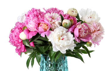 Bouquet of beautiful peonies in vase isolated on white