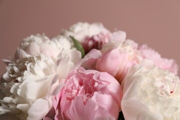 Bouquet of beautiful peonies near pink wall, closeup