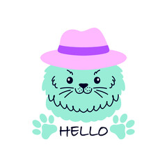 Cute  cat wearing hat