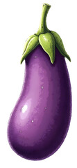 Fresh vibrant purple eggplant vegetable plant food illustration