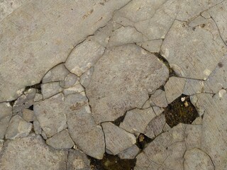 A heavily cracked concrete or cement surface reveals a hole with dark soil and green moss...