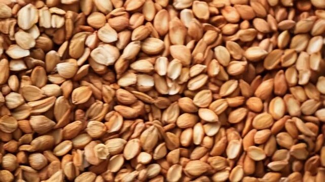 Exploring the various uses and benefits of apricot kernels in nutrition and health