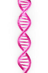 Luminous Pink Genetic Spiral on Transparent Background