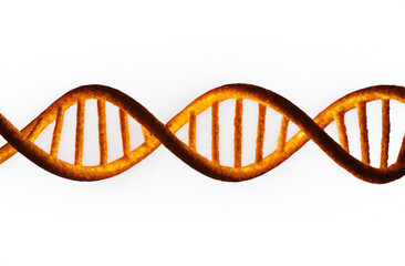 Orange DNA Strand on Transparent Background