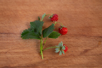 Strawberry branch with red berries on wooden board,
Fresh strawberry branch with ripe red berries and green leaves lying on a rustic wooden board. Natural fruit still life.
