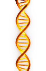 Glowing Orange DNA Strand on Transparent Background