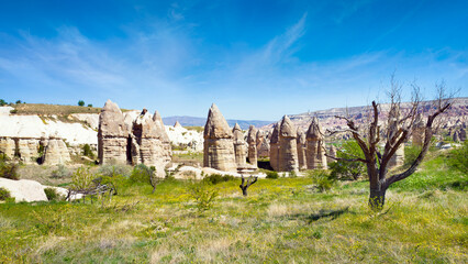 Eroded fairy chimney rock formations and sparse trees in Love Valley, Cappadocia, Turkey. Unique geological structures under blue sky on sunny day, stunning Cappadocia scenery.