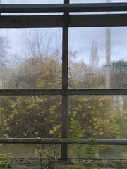 greenhouse in rainy cloudy weather