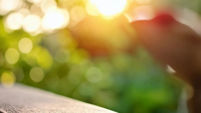 Brown garden lizard climbing on wooden fence, looking up in sunlight with blurred green nature backdrop, wildlife animal basking.