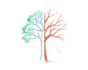 A Vibrant Illustration of a Tree Representing the Cycle of Seasons
