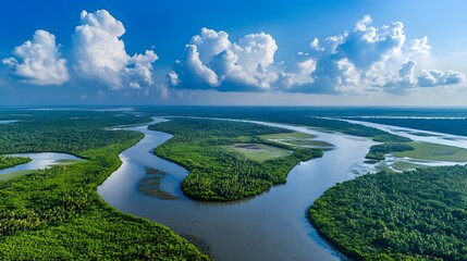 Wide-angle scenery of Sunderbans mangrove delta