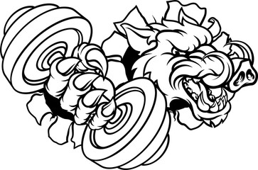 Fototapeta premium Boar Wild Razorback Warthog Weight Lifting Mascot