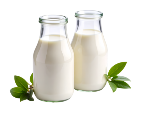 Pure Milk in Glass Bottle: Two transparent glass bottles filled with fresh milk stand against decorated with green foliage, suggesting a return to simpler, healthier times.