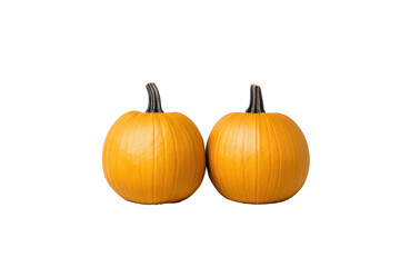 Obraz premium Two fresh orange pumpkins on white background for autumn harvest and halloween decoration design