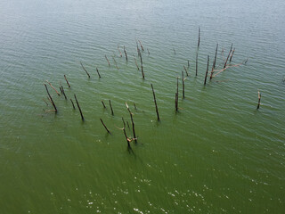 landscape on the Tibagi River