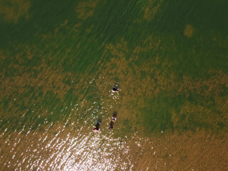 landscape on the Tibagi River