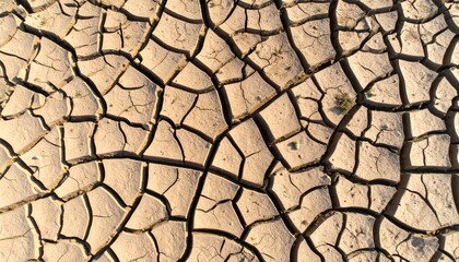 The arid cracked earth under the harsh sun reveals a stark landscape demonstrating the impacts of climate change and drought across the dry terrain and soil.