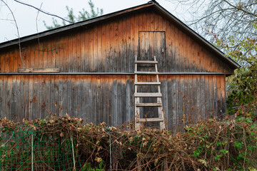 Old wooden shed with a leaning ladder and overgrown vegetation, captured in warm afternoon light. A...