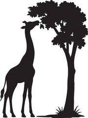 Giraffe eating leaf from tree silhouette wildlife vector art illustration