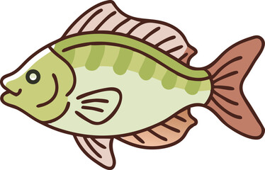 Vibrant anthias fish illustration on white background