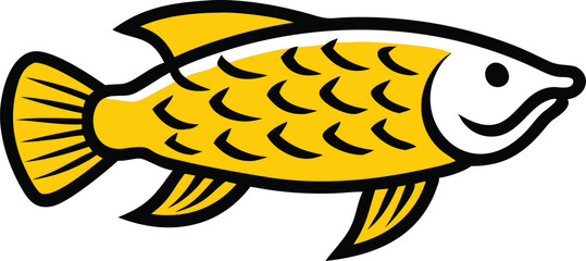 Arowana fish illustration detailed vector graphic