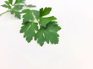 Yummy parsley leaves for vegetarian taste.