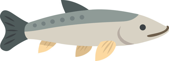 Detailed bichir fish illustration on white background