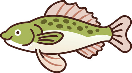 Detailed bristlenose pleco fish illustration