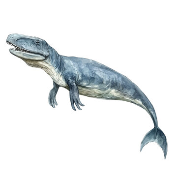 Basilosaurus, watercolor drawing vector, isolated on a white background.