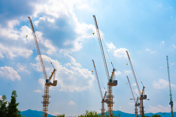 Obraz premium Construction cranes work on creation site against blue sky background.