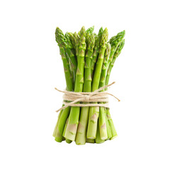 Fresh Green Asparagus Bundle Tied with Twine
