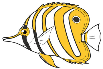 Copperband butterflyfish illustration on white background