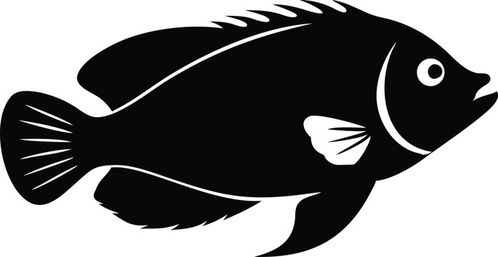 Vibrant dottyback fish illustration on white background