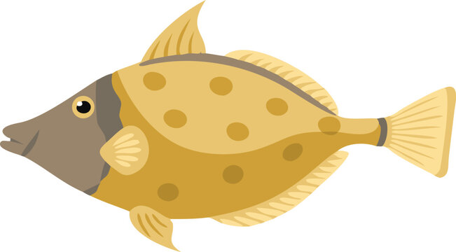 Detailed illustration of a filefish on a white background