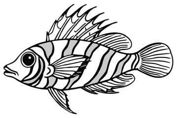 Vibrant flame hawkfish illustration on white background