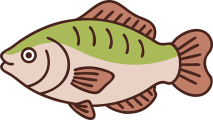 Detailed gourami fish illustration on white background