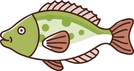 Vibrant hawkfish illustration on white background