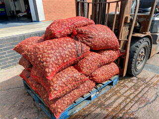 Forklift transporting pallet of red mesh sea snails bags, freshly harvested, logistics warehouse...