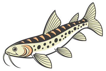 Detailed hillstream loach fish illustration on white background