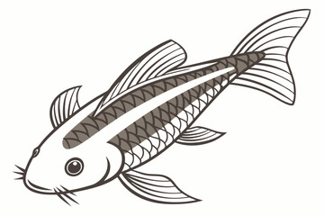 Obraz premium Detailed otocinclus fish illustration on white background