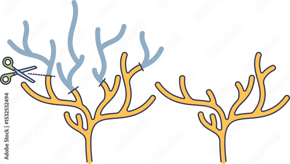 Poster illustration of pruning branches symbolizing optimization and efficiency.