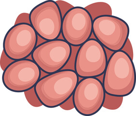 Illustration of a cluster of cells, symbolizing growth and development in a biological context.
