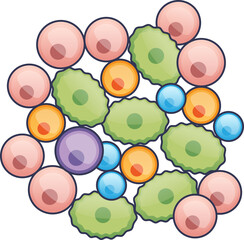 Illustration of pancreatic islet cells in various colors, symbolizing cell diversity.